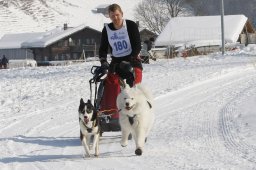 Lenk 2012 SM